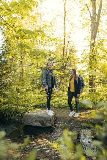 Beim Waldbaden die Natur neu entdecken
