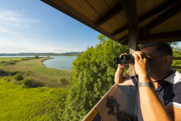 Zahlreiche Natur-Beobachtungsplattformen