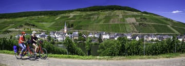 Radeln mit Blick auf die Weinberge