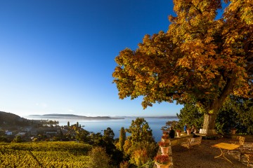 Arenenberg im Herbst