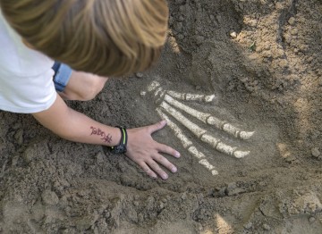 Archäologische Drachenspuren