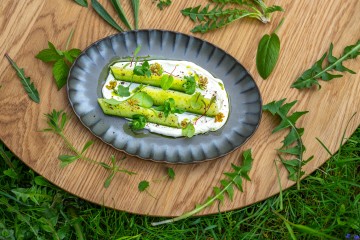 Feine vegetarische Gerichte im Seegut Zeppelin