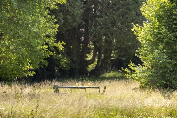 Im Park des Seegut Zeppelin