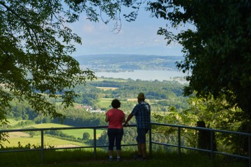 Aussicht vom Homburg-Steig