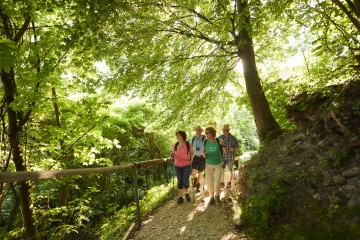 Unterwegs durch den Hangwald