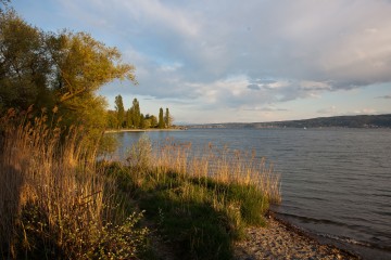 Abendstimmung auf der Mettnau