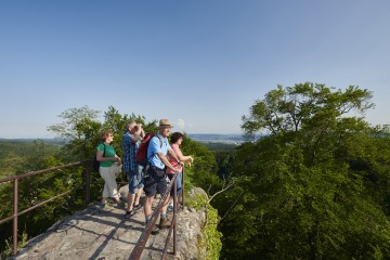 Panoramablick von der Ruine Homburg