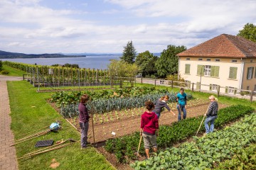 Gärtnern lernen im Bildungs- und Beratungszentrum Arenenberg