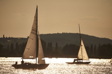 Segelboote bei Radolfzell