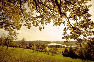 Naturschutzgebiet Mindelsee