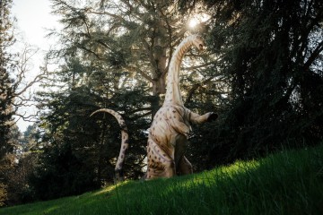 Erlebnisvielfalt auf der Insel Mainau