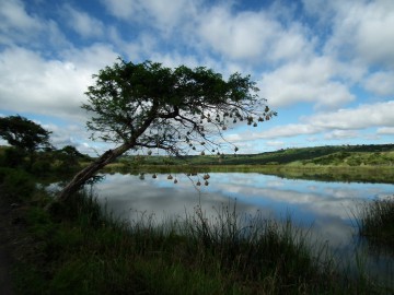 Der Greater National Park