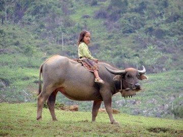 Mit Inselhüpfen Vietnam hautnah erleben