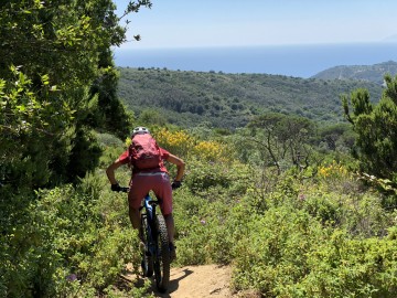 Einzigartige Trails in malerischer Landschaft